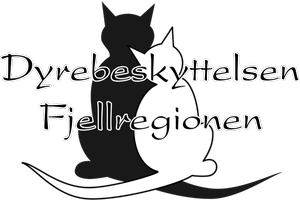 vignettbilde