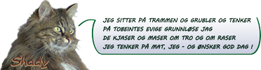 normalbanner